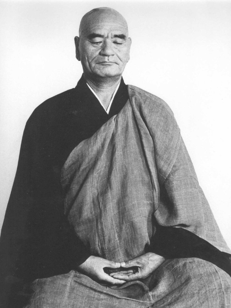 Za-Zen Posture Deshimaru